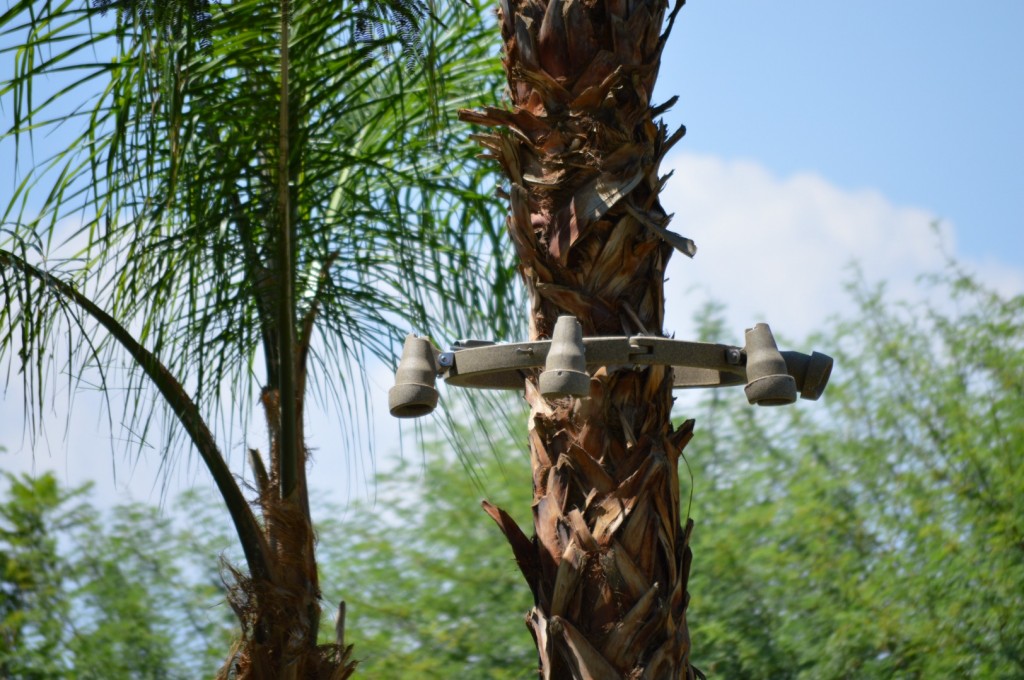 How To Make Tree Ring Lights How To Make Tree Ring Lights