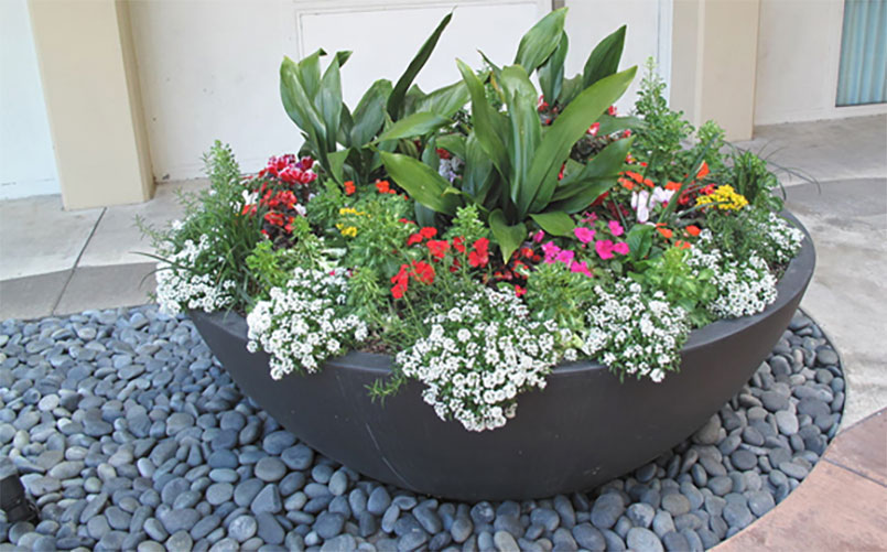 These Custom Outdoor Planters are the Most Durable on the MarketFind Out Why! TerraCast