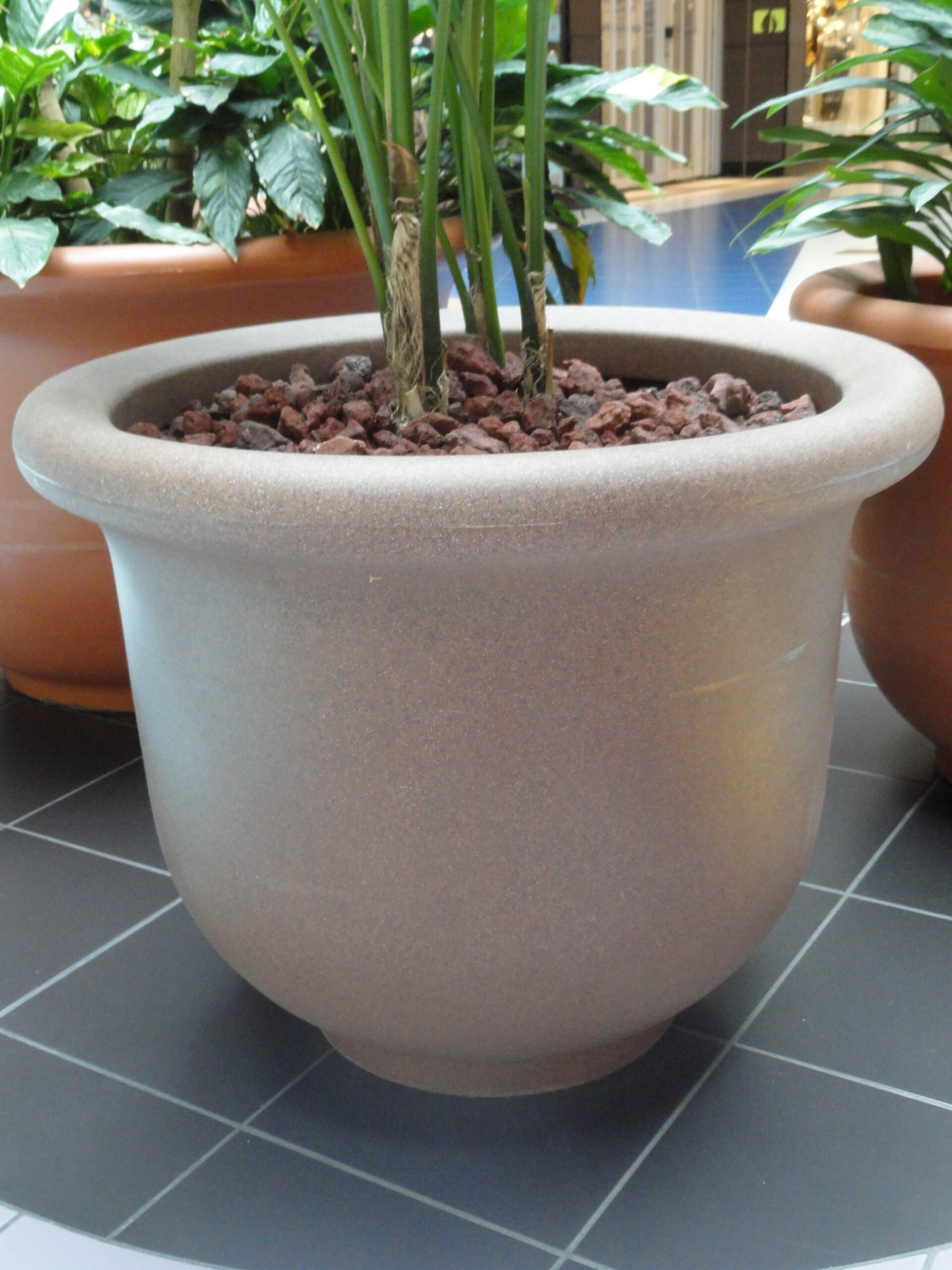 large planter