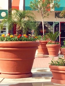 Shopping center planters