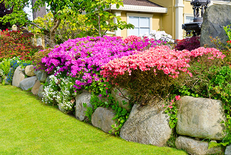 Landscape Designs