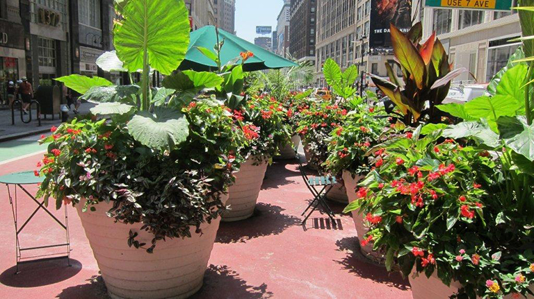 Large Planters in New York City