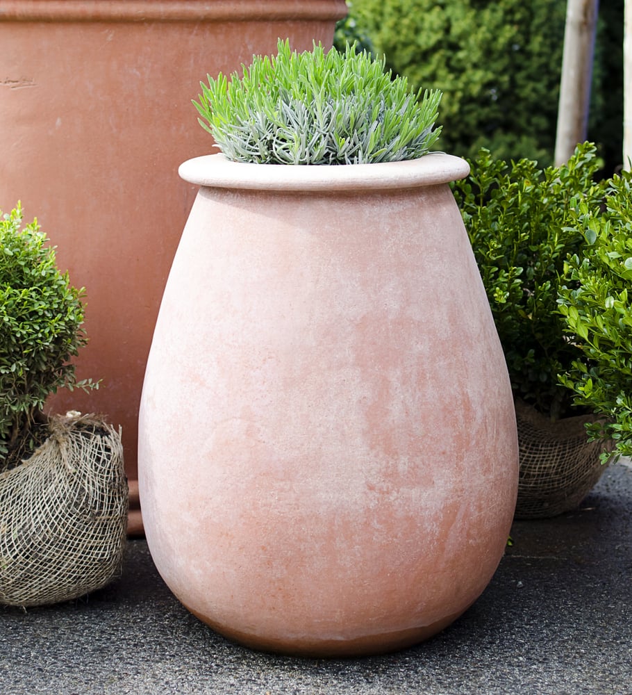 To Rethink Stone Planters