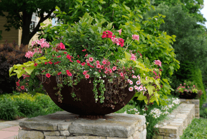 Potted Planter
