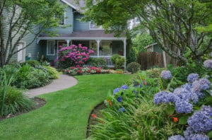 5 Basic Landscaping Design Tips