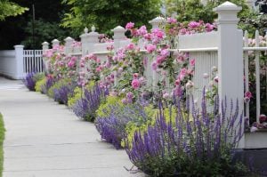 5 Great Ideas For Landscaping On A Busy Street 