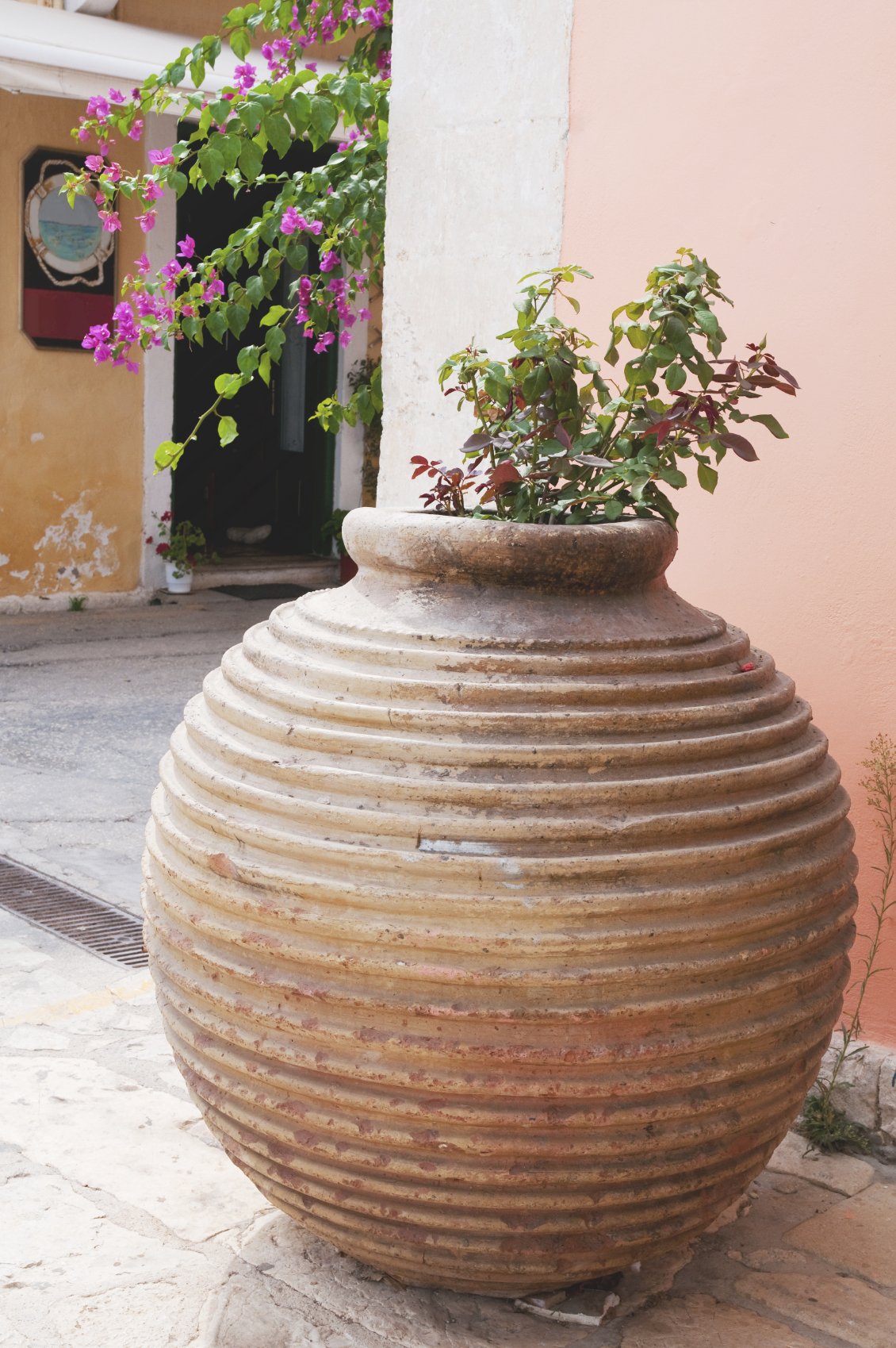 Large Planters