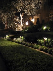 Outdoor LED Landscape Lighting