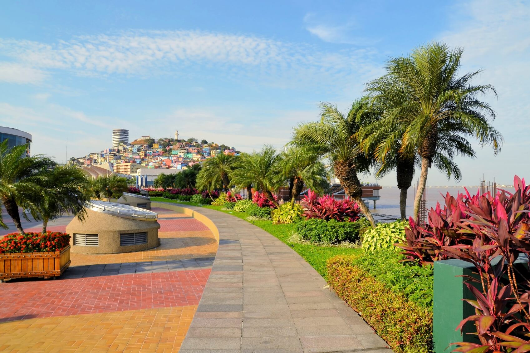 Garden seaside Malecon 2000 park and pedestrian walkway with Santa Ana Hill in background, Ecuador
