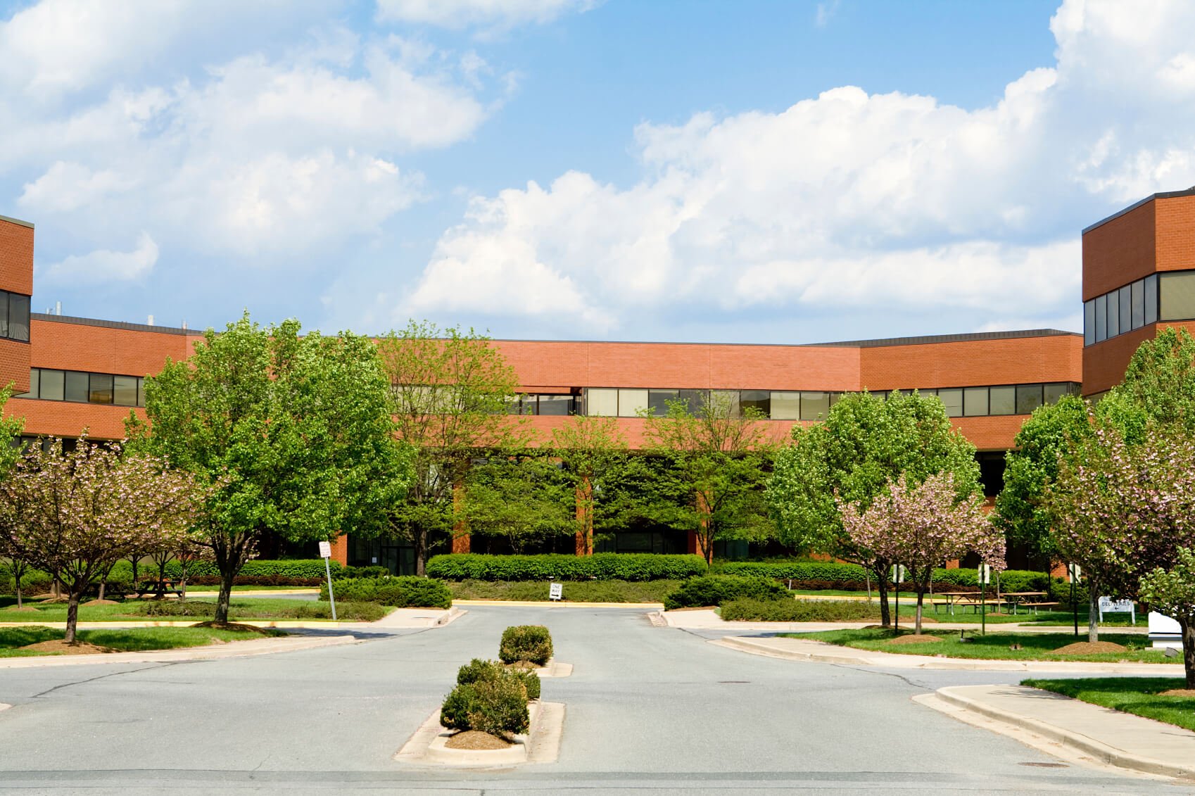 New Brick Office Building, Trees