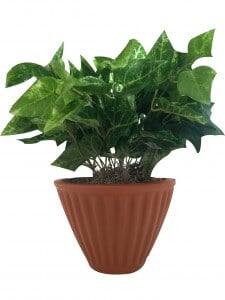 single vertical wall planter 