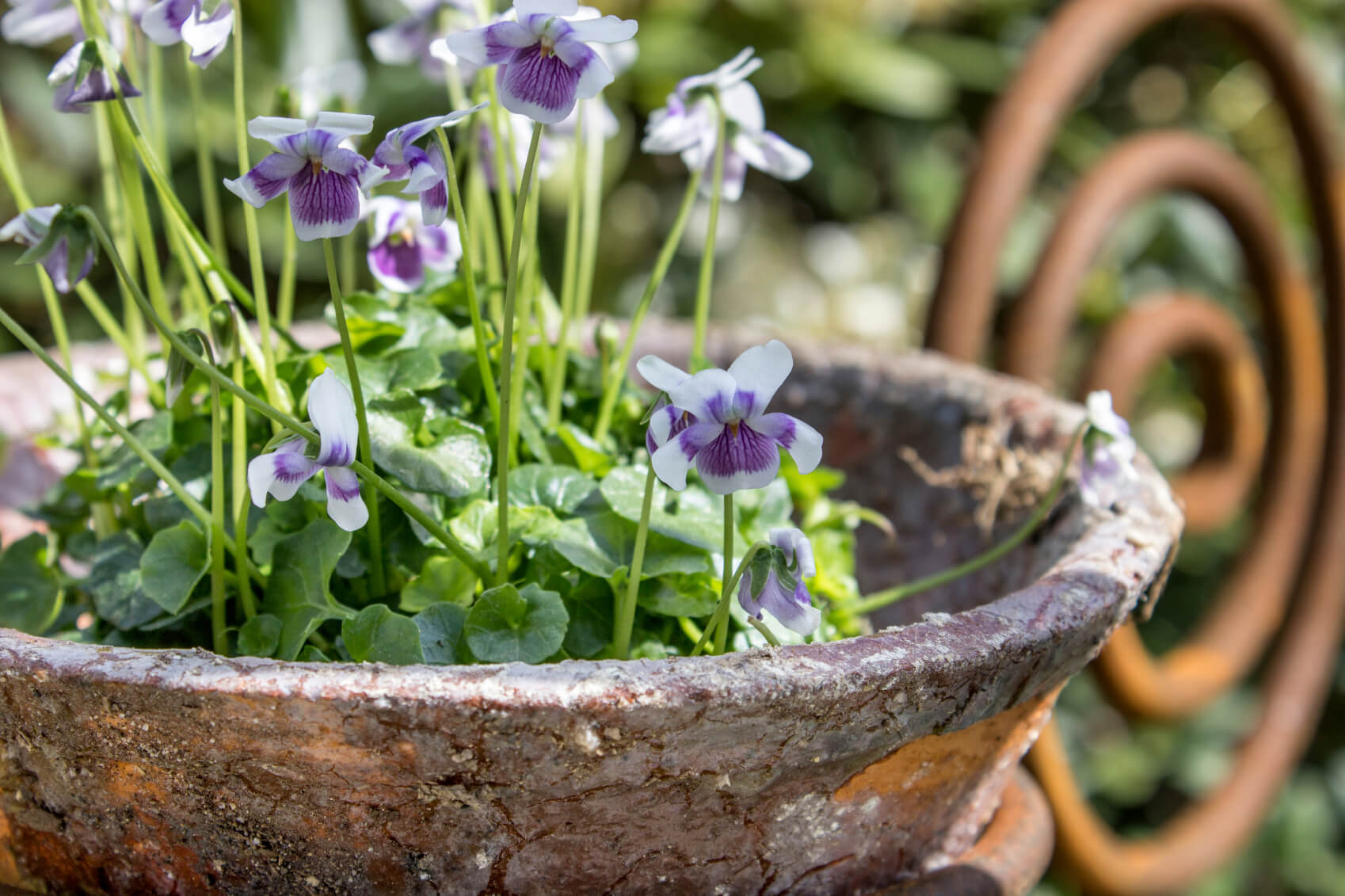 garden decoration