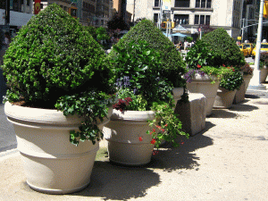 NYC Planters