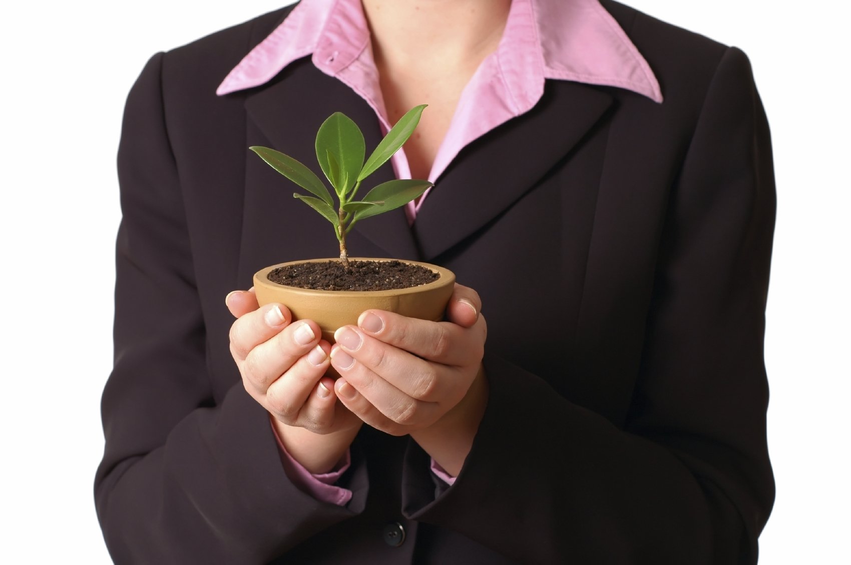 business woman holding a growing plant in her hands