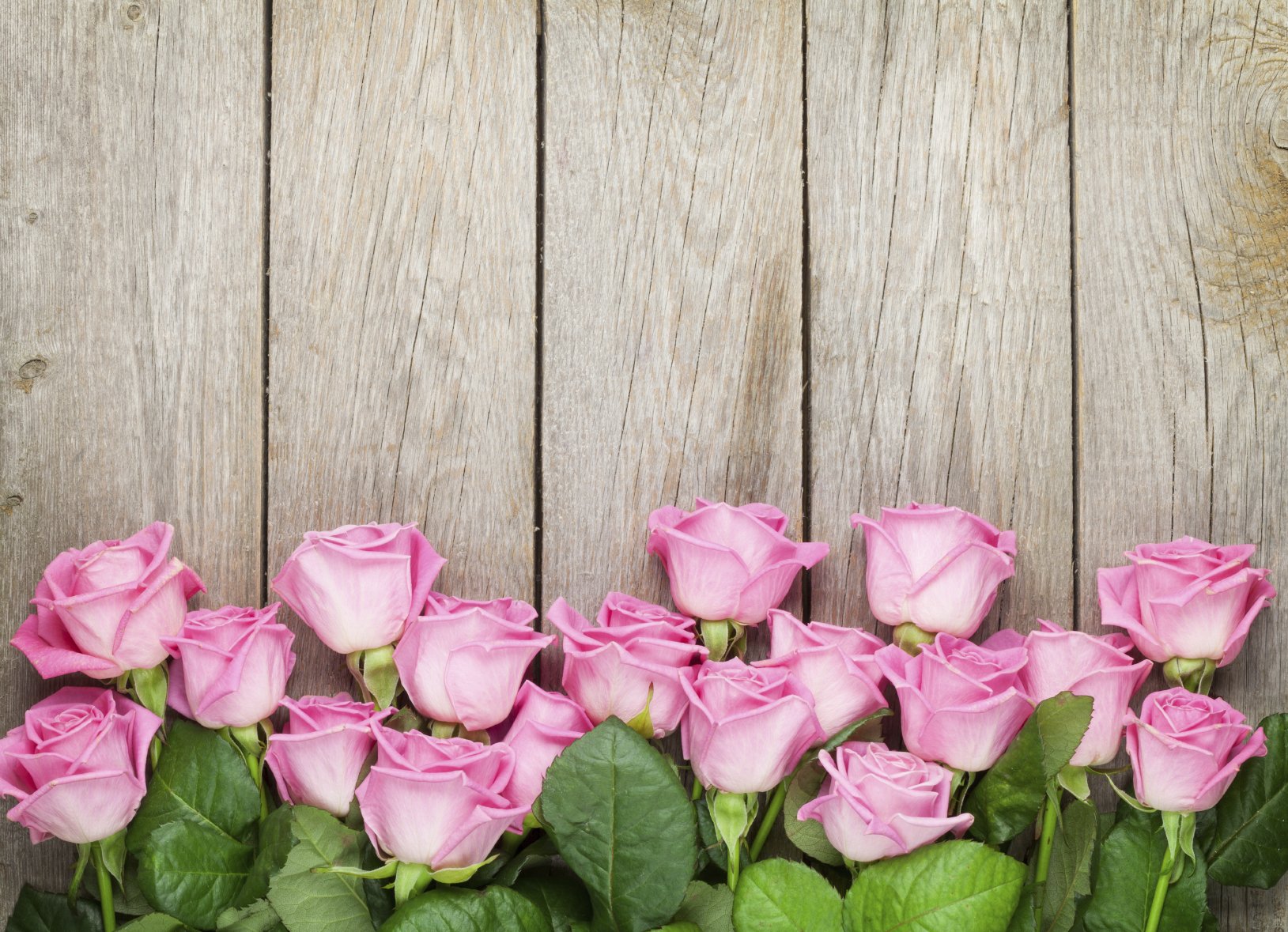pink roses over wooden table