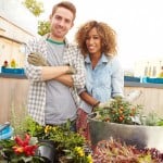 rooftop garden