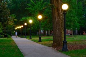 lamp post - campus landscape