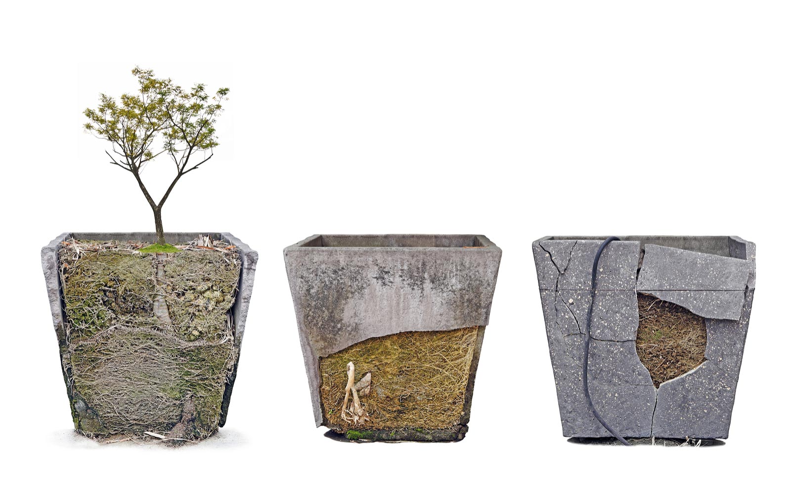 Are Concrete Planters Sustainable