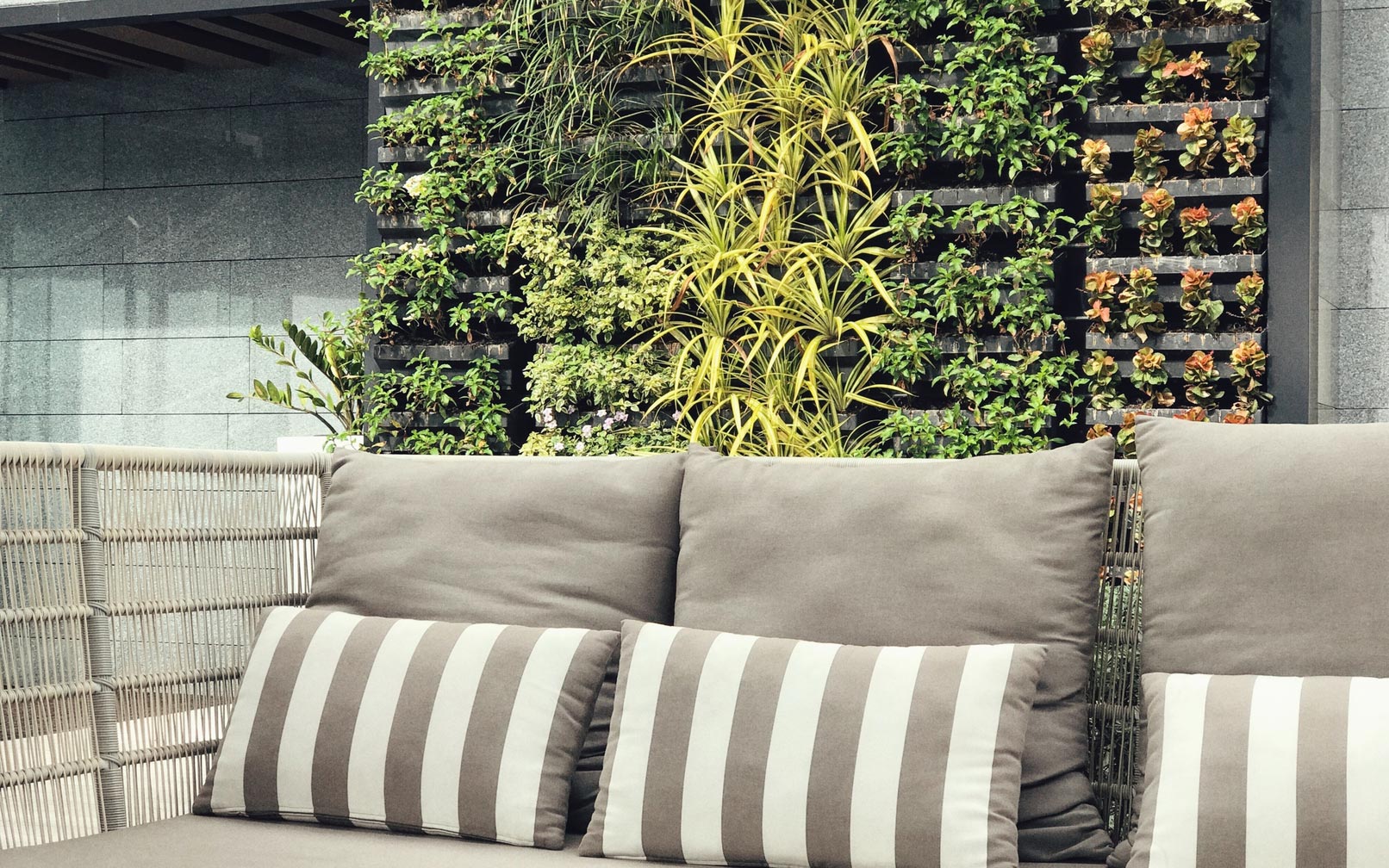 Wall Planters: 10 Tips For Creating Thriving Vertical Gardens