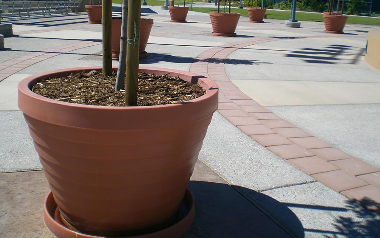 How Often Should You Replace Commercial Planters?
