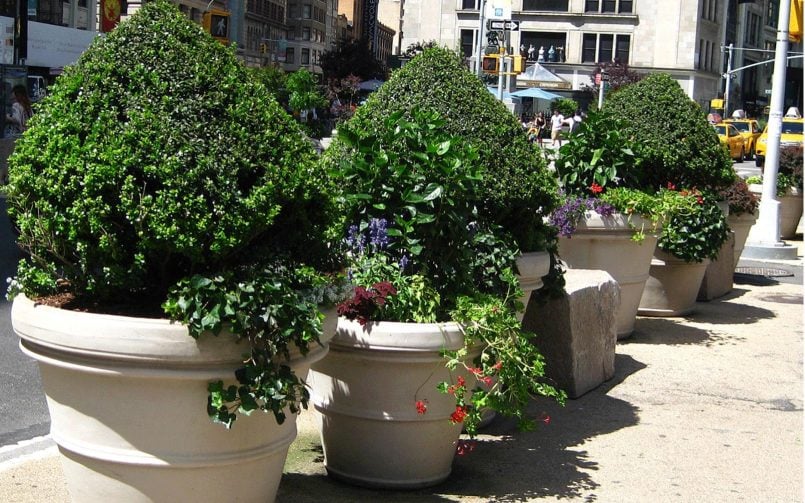 Large Planters for Trees