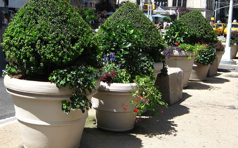 Large, Flower pots and planters