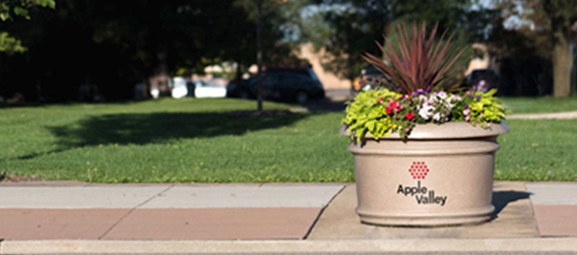 4 Creative Ways to Utilize Custom Graphics on Planters