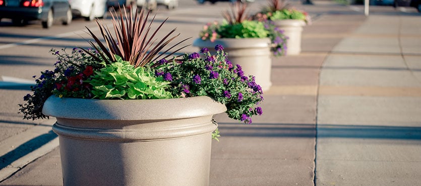 5 Tips to Make Planters Fuller and More Beautiful