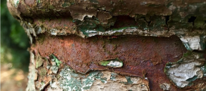 An In-depth Look at Corrosion and How to Stop it From Eating Away Your Landscape Elements