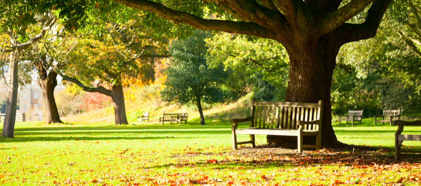 How to Make Park Benches Last Longer