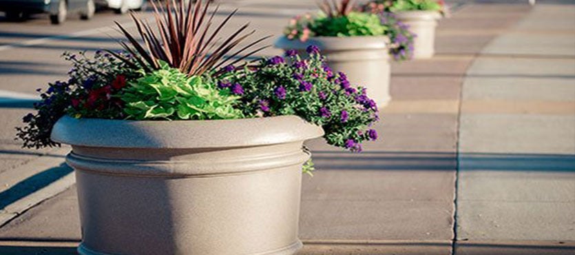 How to Choose the Best Planter