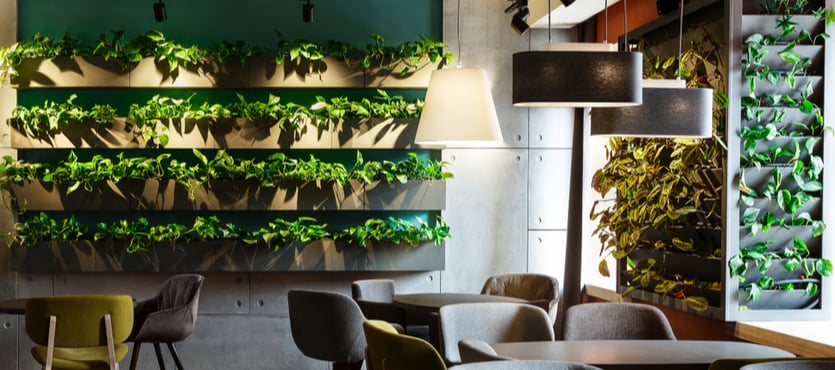 Indoor Planters in Restaurants