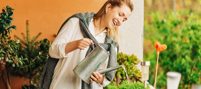 The Benefits of Self Watering Plants in Summer