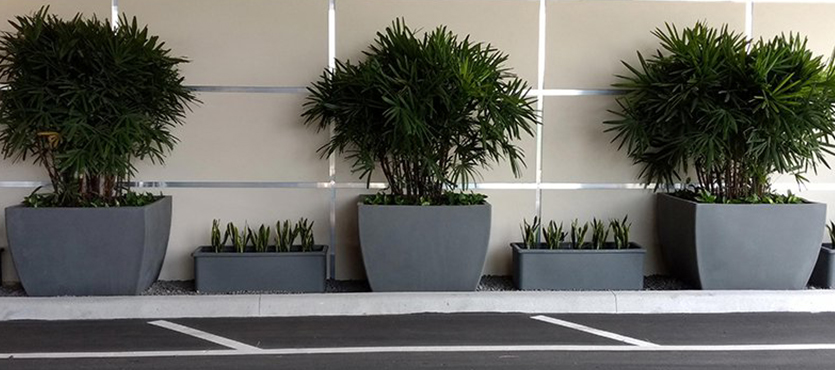 Choosing the Best Planters for Health Care Facilities